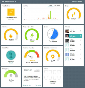 Screenshot of Fitbit.com user dashboard