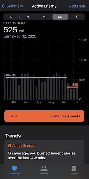Apple Health Active Energy Screen showing a time series chart