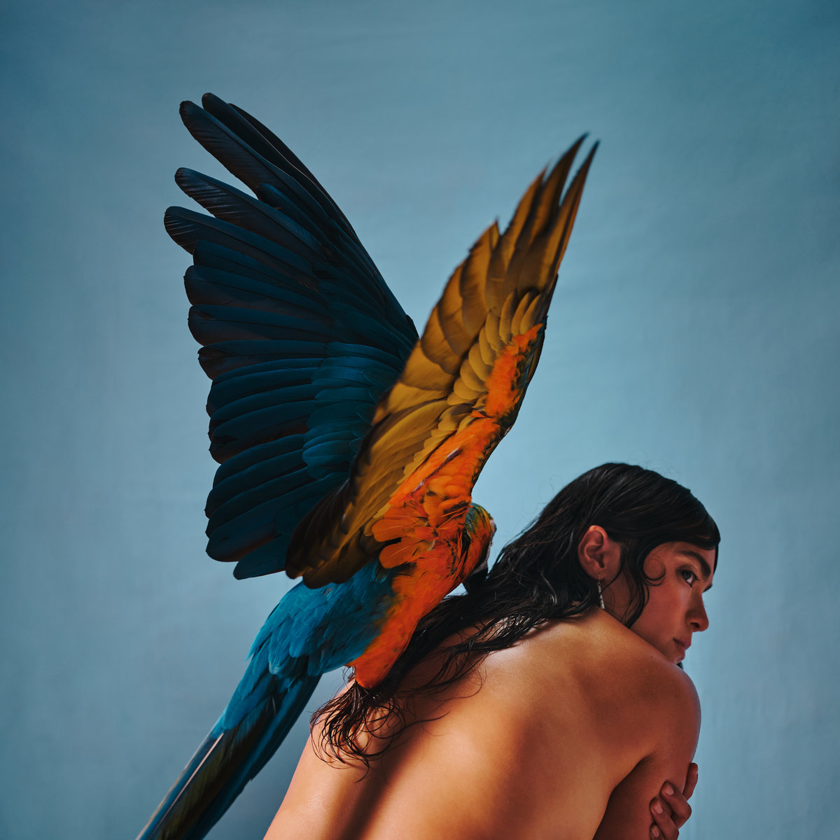 Malegría Album by Reyna Tropical